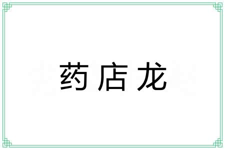 药店龙